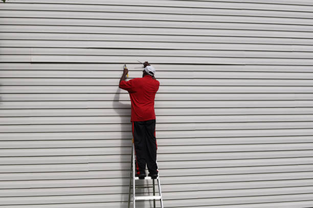 Best Vinyl Siding Installation  in Morehead, KY